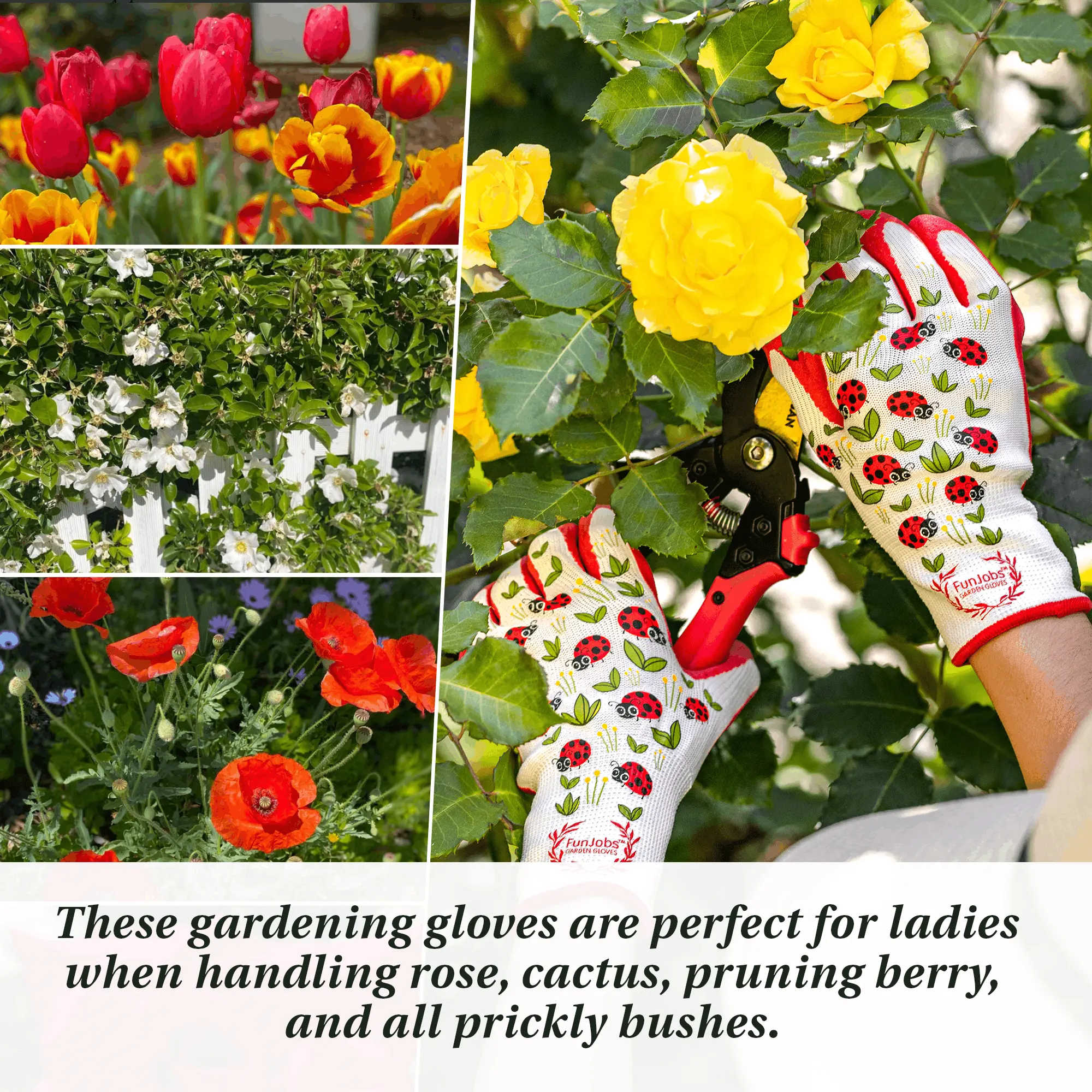 FunJobs Ladybird Gardening Gloves for Women - 1 pair per pack- Medium - Image 13