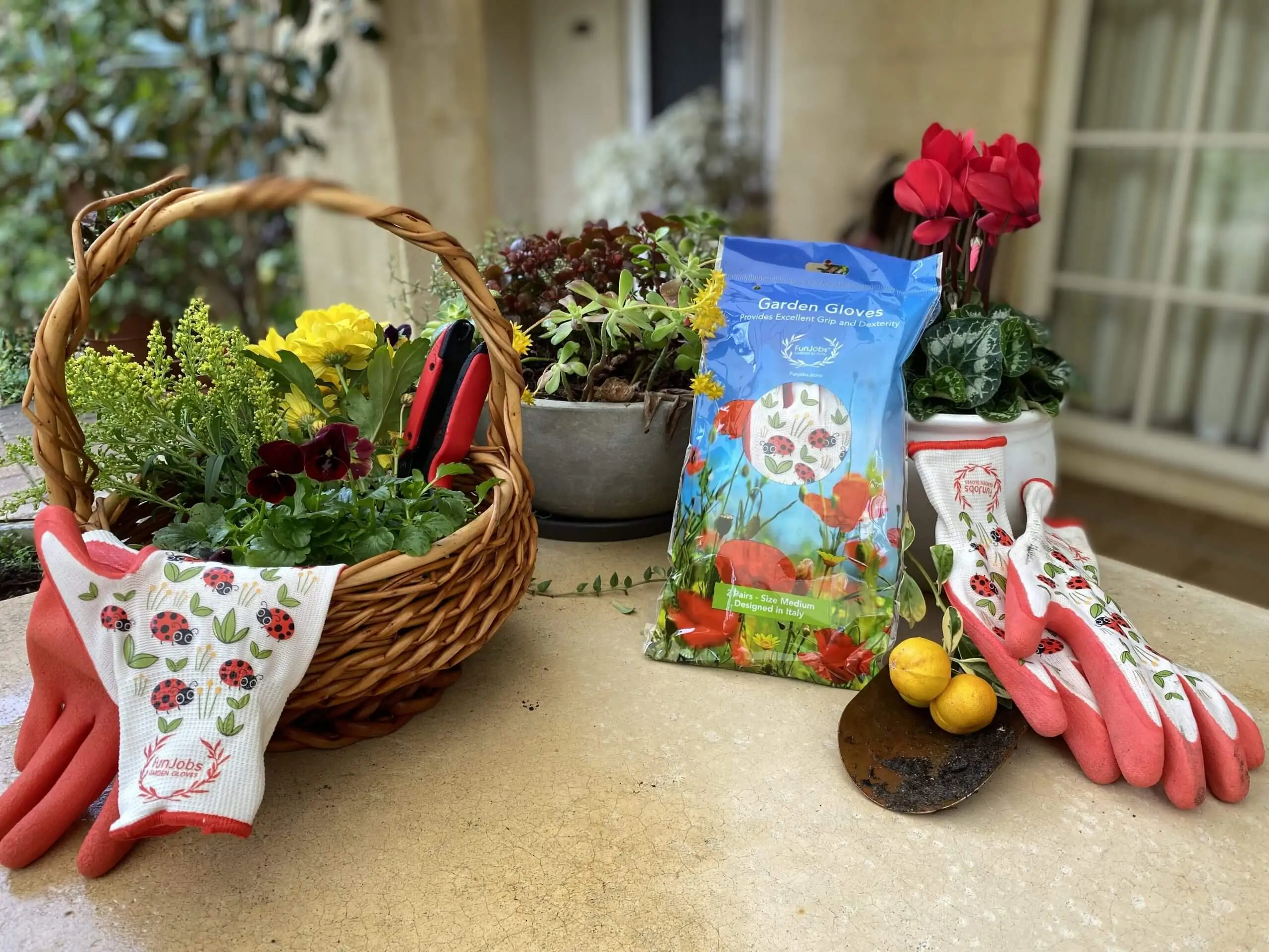 FunJobs Garden Gloves product display with packaging and flowers