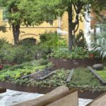 What to plant in winter Australia: Your complete June gardening guide