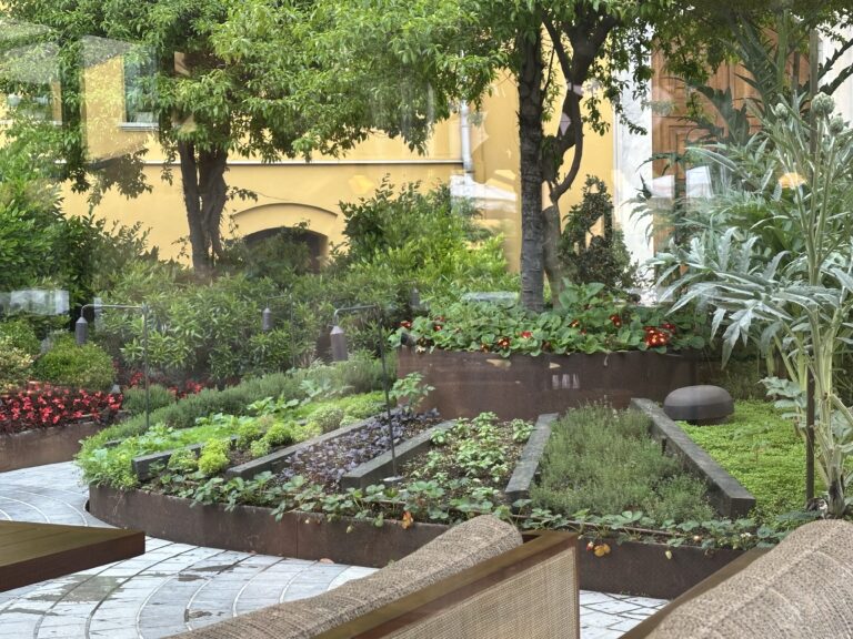 What to plant in winter Australia: Your complete June gardening guide